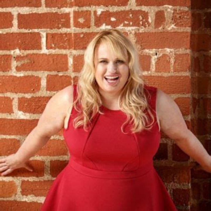 Rebel Wilson Astounded Fans When She Revealed She Had A Child Through Surrogacy
