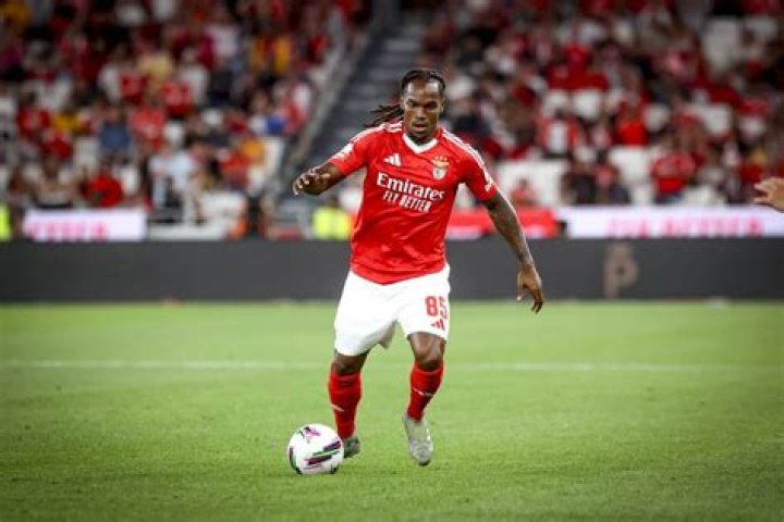Renato Sanches Net Worth 2024, Age, Height, Bio, Birthday, Wiki!