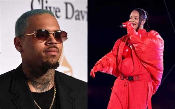 Rihanna Pregnant With Chris Brown’s Baby – The Real Reason She’s Sick and Canceling Shows?