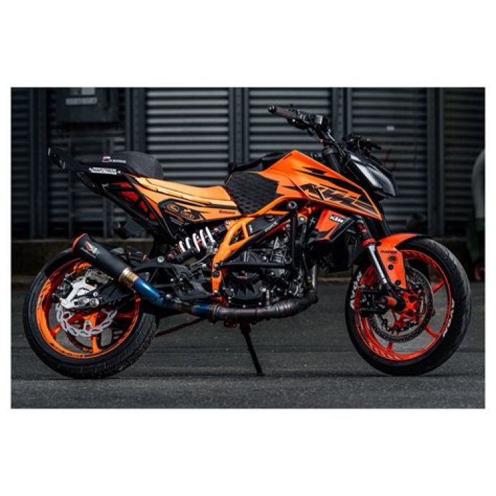 Rok Bagoros- Wiki, Age, Height, Net Worth, Girlfriend, Ethnicity