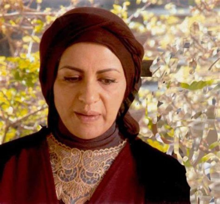 Roya Teymourian - Net Worth, Age, Height, Birthday, Bio, Wiki!