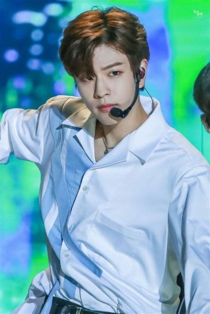 Seungmin Biography, Age, Career, Net Worth, Family & More