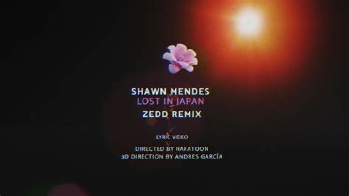 Shawn Mendes and Zedd Team Up For 'Lost In Japan' Remix