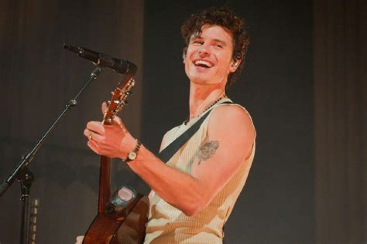 Shawn Mendes's "Stitches" doesn't just break his heart, it also breaks his face