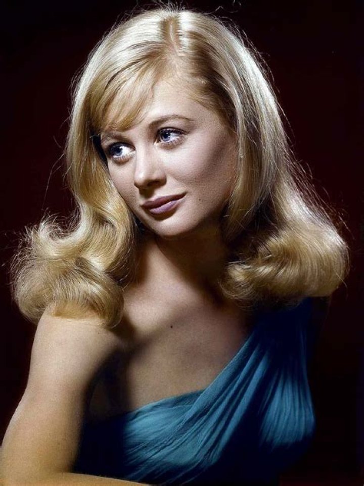 Shirley Knight Net Worth, Age, Height, Bio, Birthday, Wiki!