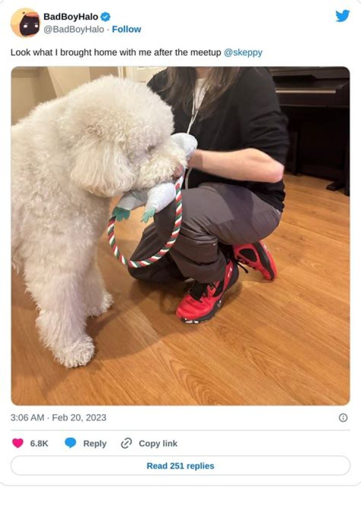 Who is Skeppy Dating – Skeppy's Girlfriend & Exes