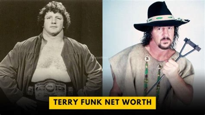 What Is Terry Funk Net Worth?
