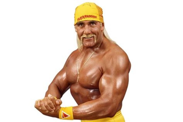 Inside The Life of WWE Superstar Hulk Hogan: Biography, Net Worth & more, Brief Intro