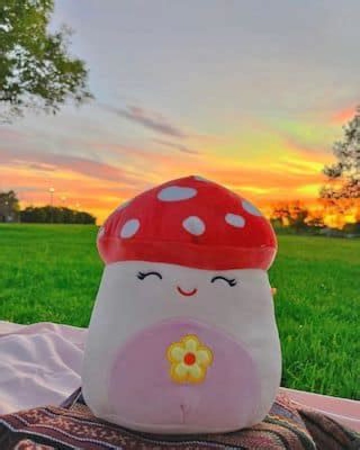 The Squishmallow you need in your life based on your personality type