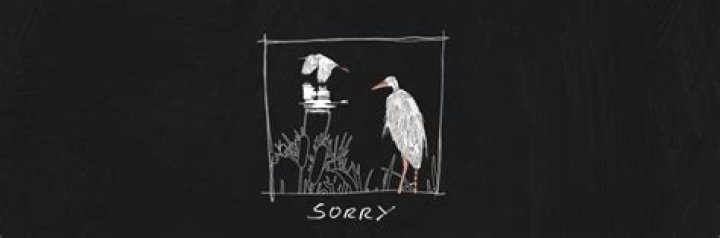 The Tors release new single Sorry