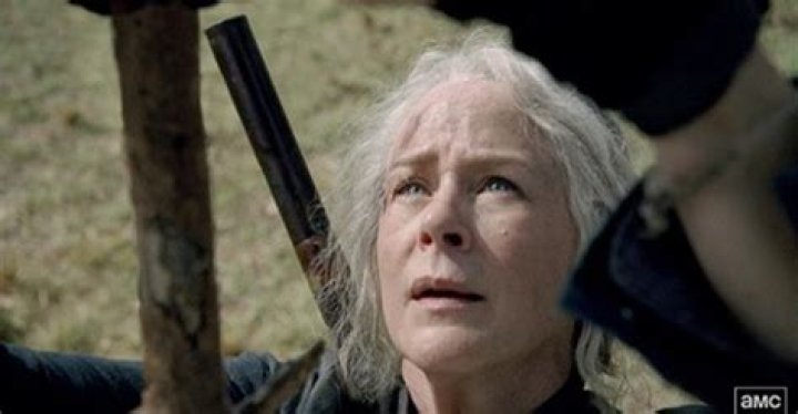 The Walking Dead Recap 03/29/20: Season 10 Episode 14 “Look At The Flowers”