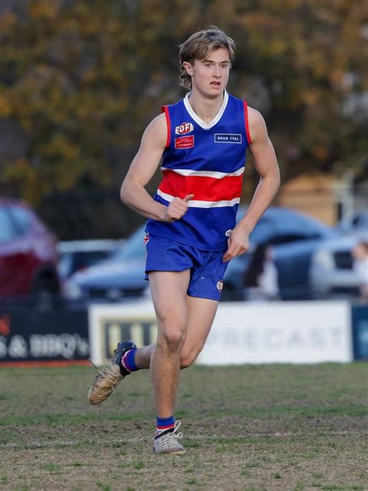 Fame | Thomas McGuane net worth and salary income estimation Jan, 2024