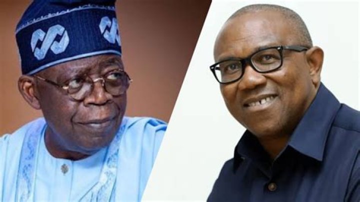 Tinubu’s Son Allegedly Supporting Peter Obi As He Is Captured Listening To Peter Obi Lectures