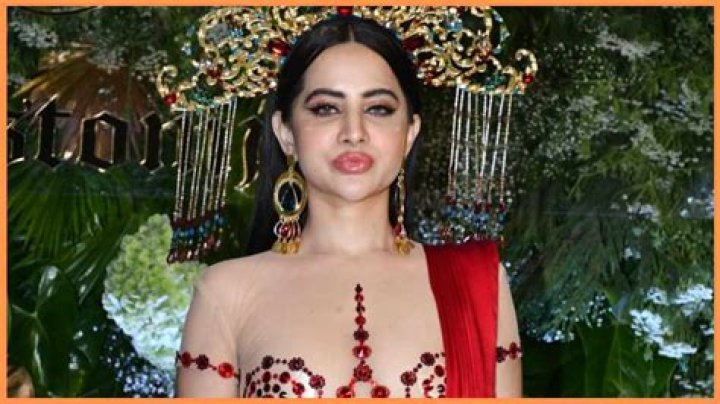 
Urfi Javed- Bio, Age, Net Worth, Boyfriend, Dating, Height	