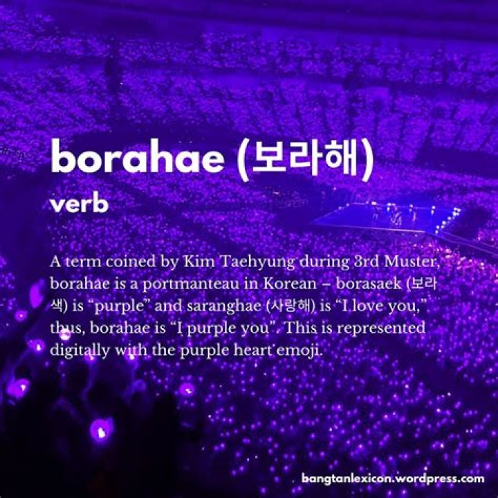 What does Borahae really mean in Korea? All You Need to Know